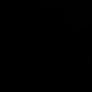 Vintage Sports Specialties New York Yankees Hat Snapback MLB Side Logo White Cap